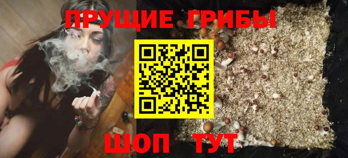Апшеронск  сколько стоит  Вход с VPN  Галлюциногенные грибы ЛСД 