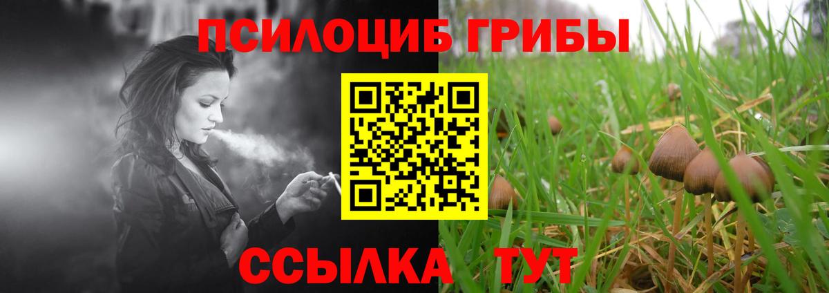 Псилоцибиновые грибы прущие грибы Апшеронск